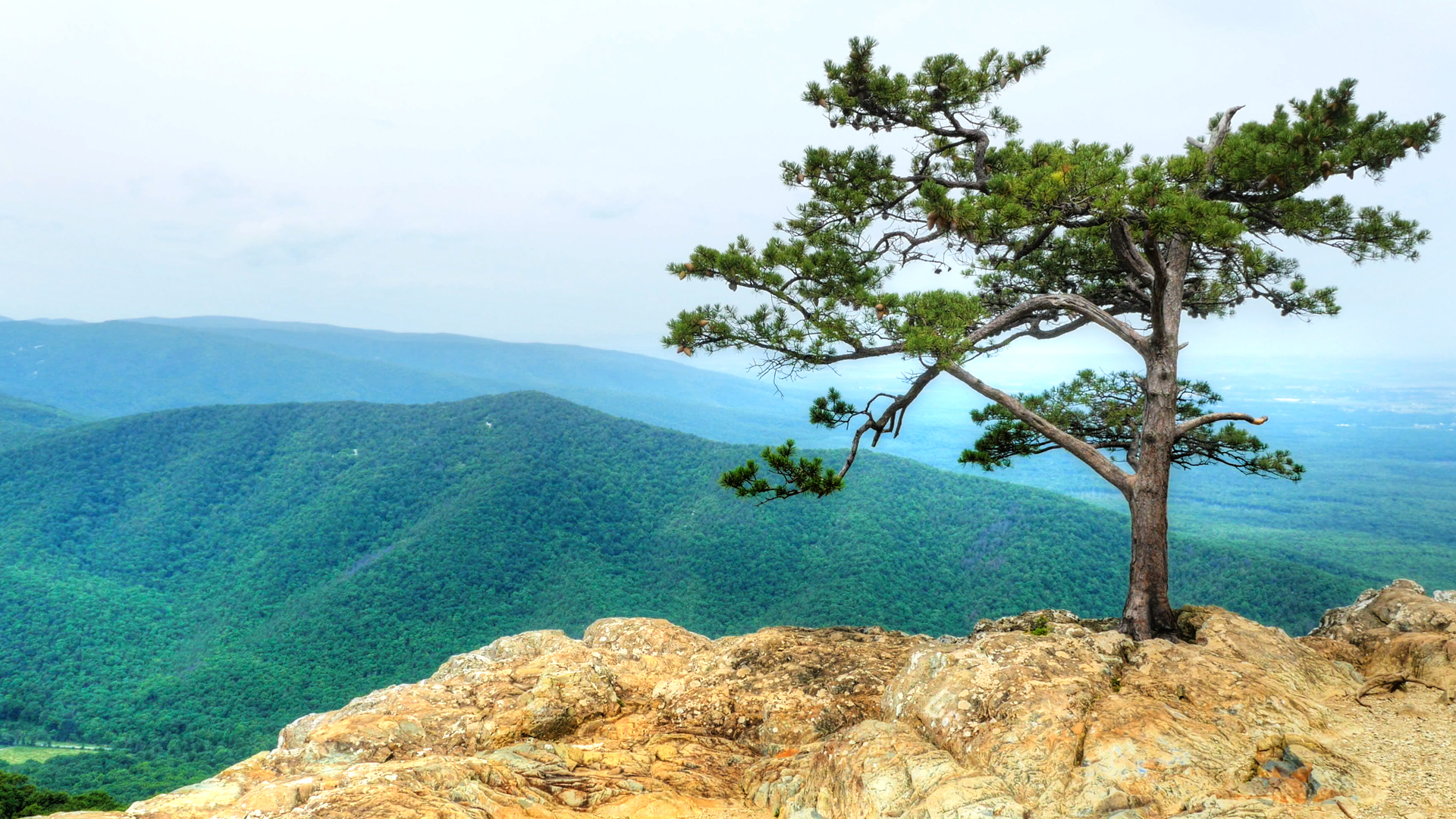 Ravens Roost On The Blue Ridge Parkway