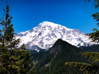 Mount-Rainier-July-2012