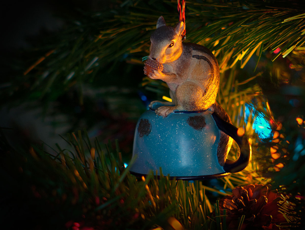 chipmonk_on_cup_on_tree