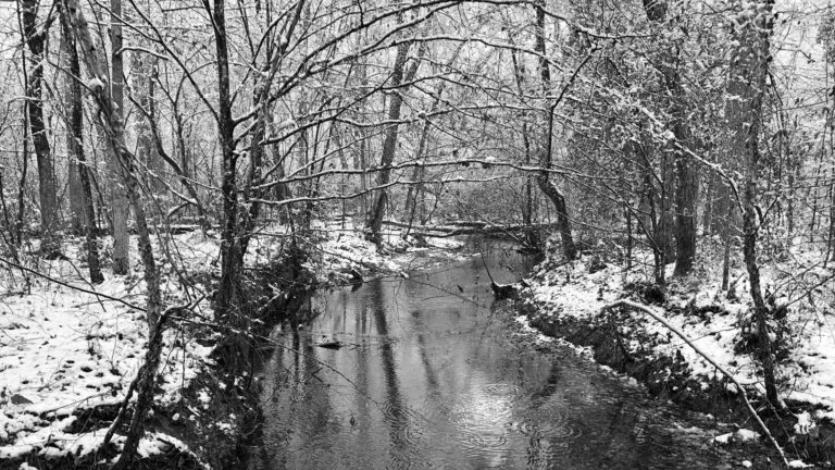 Early December Snow